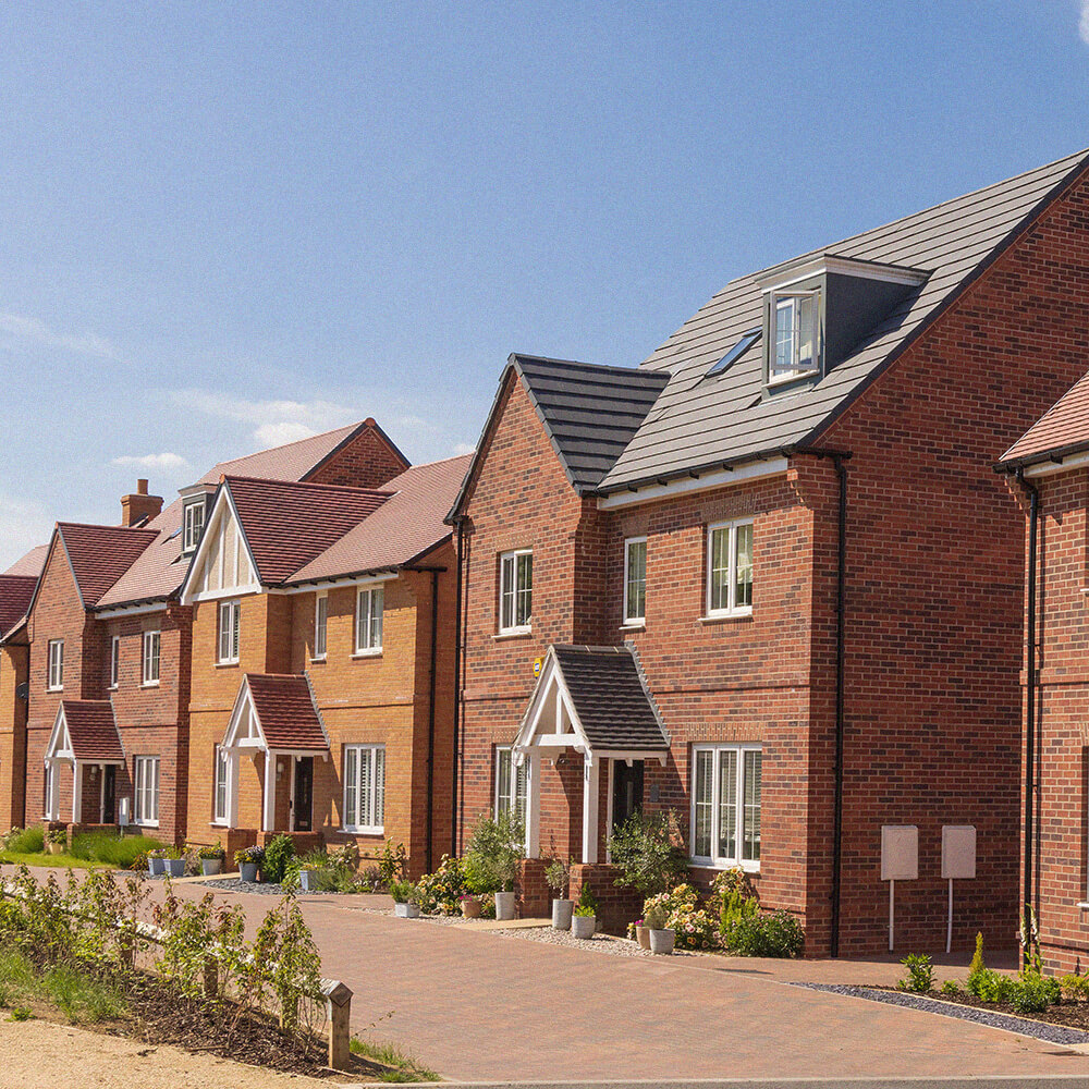 Row of new build red brick houses with plants outside and blue sky in the background